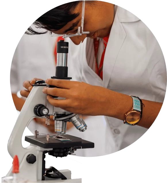 Montessori Environment